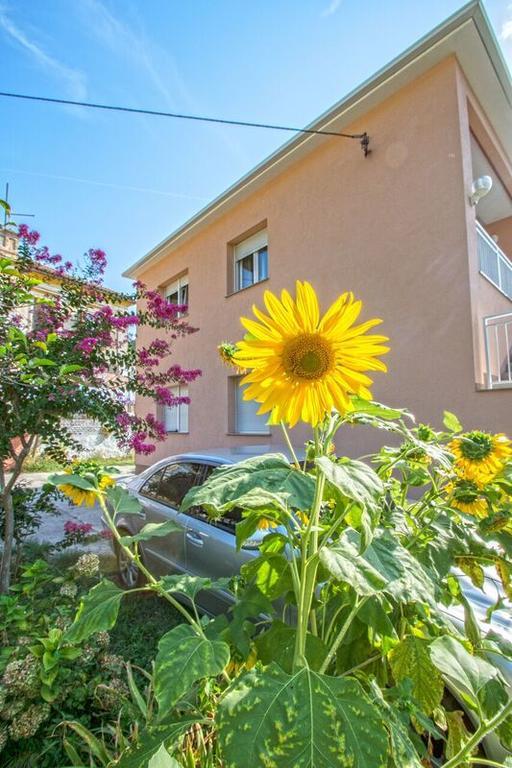 Apartman Nena Crikvenica Esterno foto