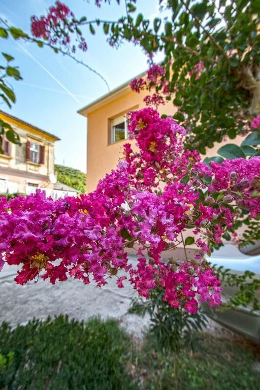 Apartman Nena Crikvenica Esterno foto